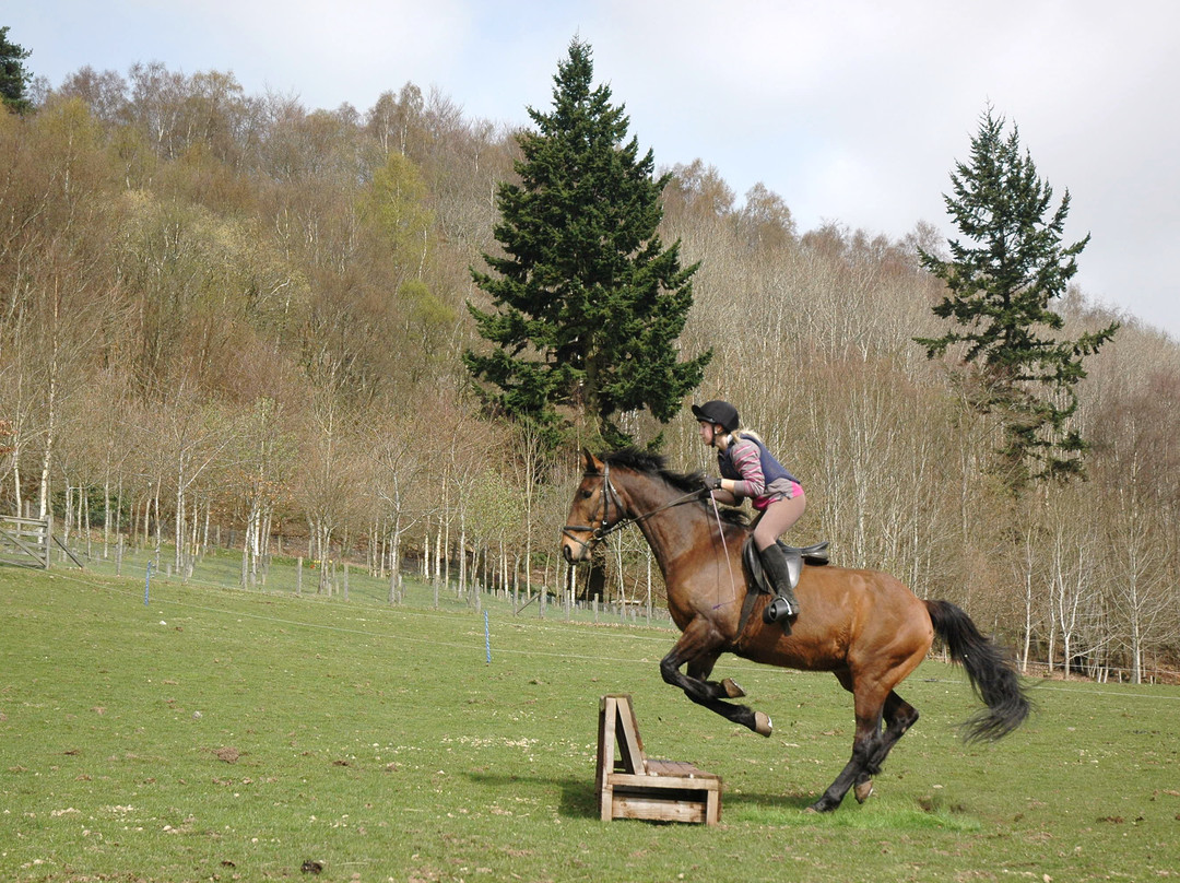Crieff Hydro Riding Centre-Crieff必去景点