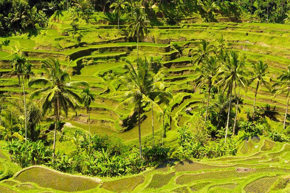 Gede Bali Tours-卡朗阿森必去景点