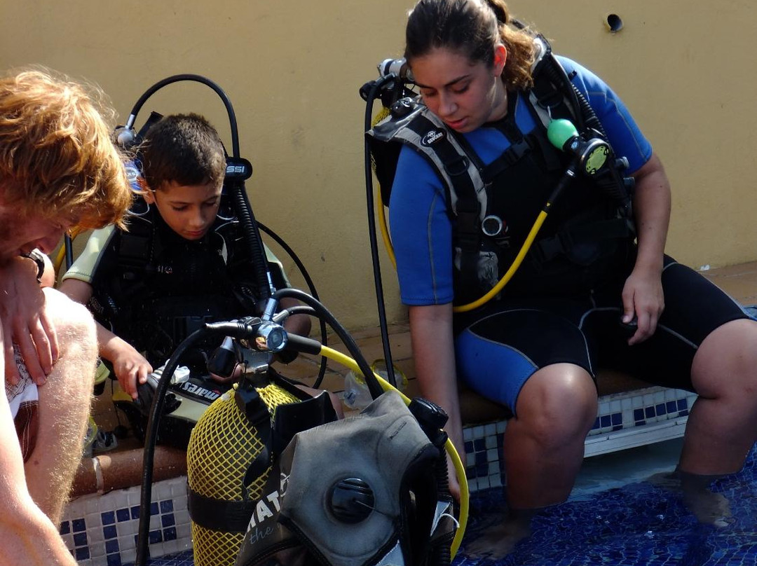 Octopus Scuba School景点图片