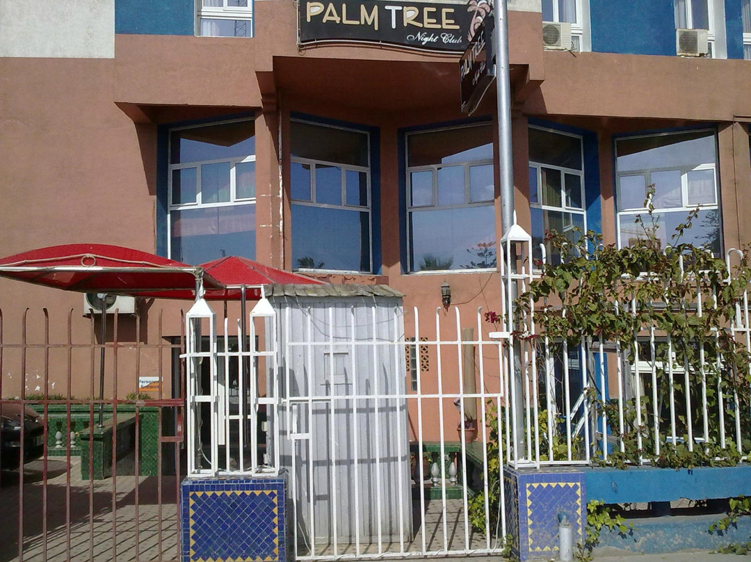 Al Acherine旅游景点-Palm Tree Nightclub