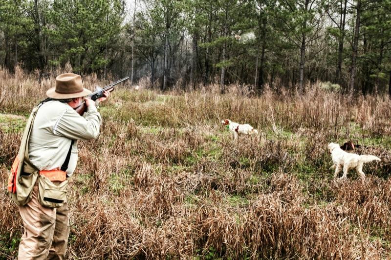 Quail Country Plantation-Arlington必去景点