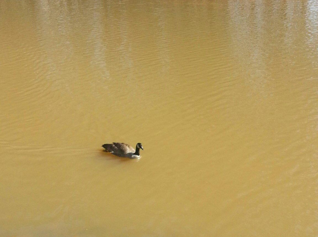 Turner lake-卡温顿必去景点