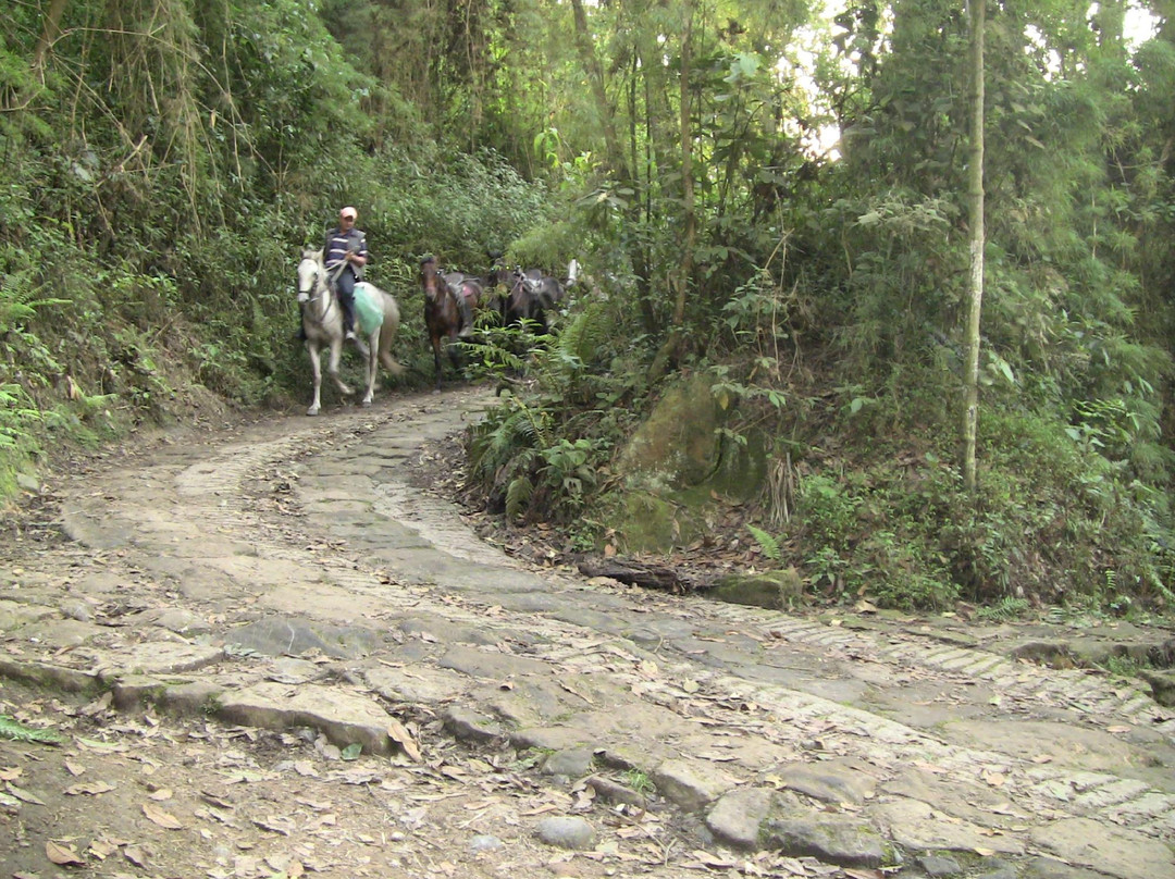 Parque Natural Chicaque-Chicaque必去景点