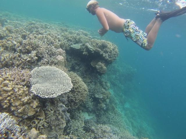 热带研究与保护中心-仙本那必去景点