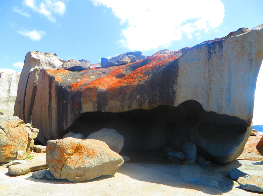 坎加鲁岛海联一日游-阿德莱德必去景点