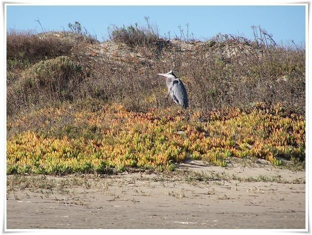 Kayak Horizons-莫罗贝必去景点