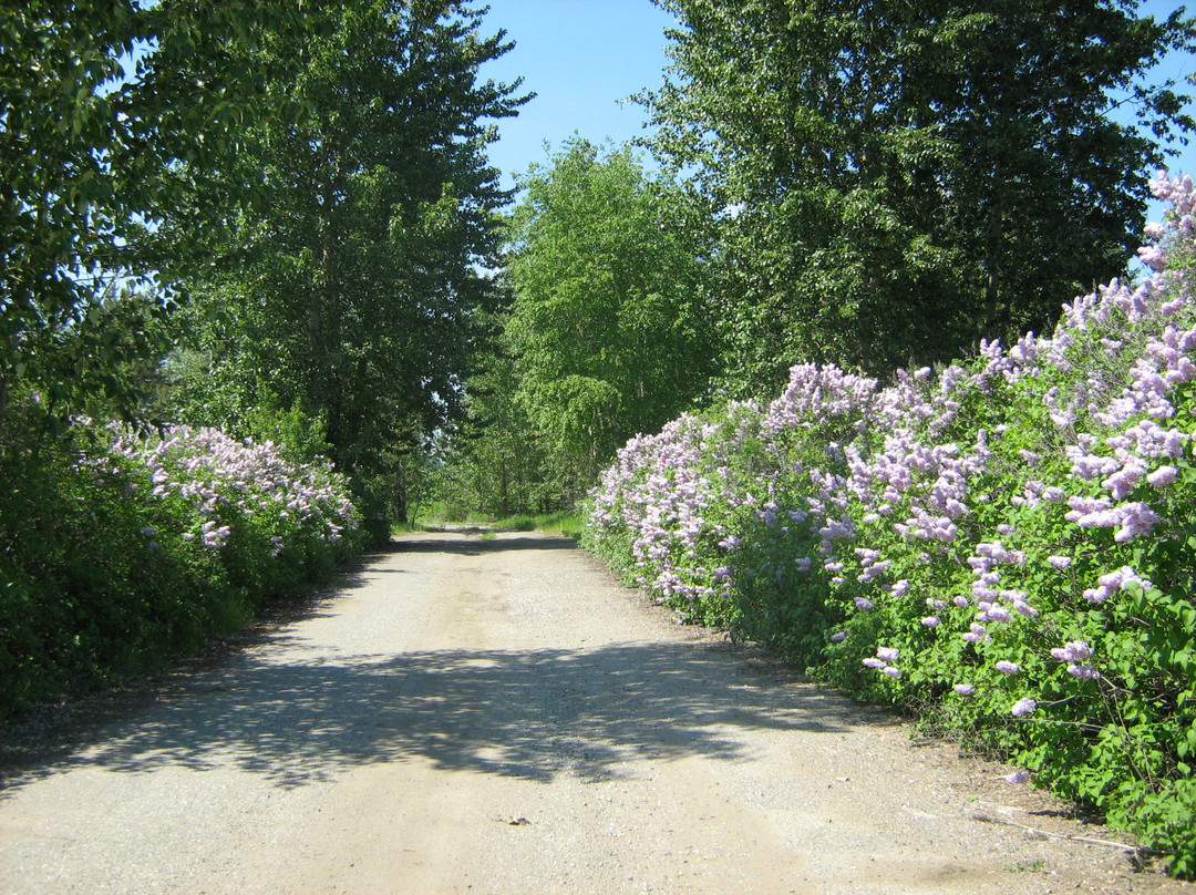 Airport Inn Motel and RV Park主图