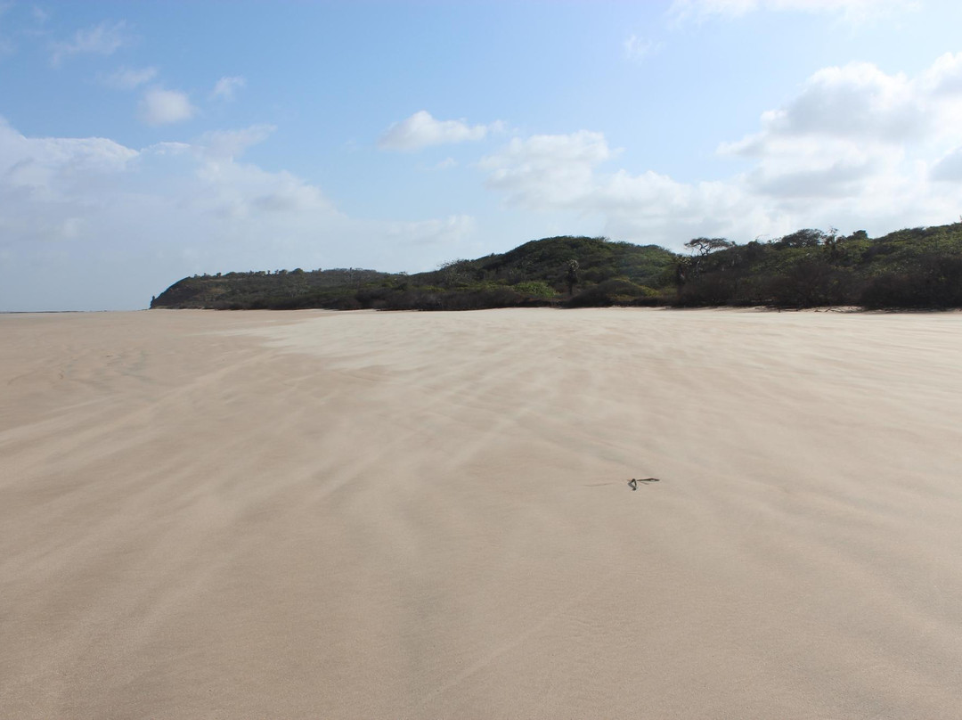 Ilha do Livramento Beach景点图片