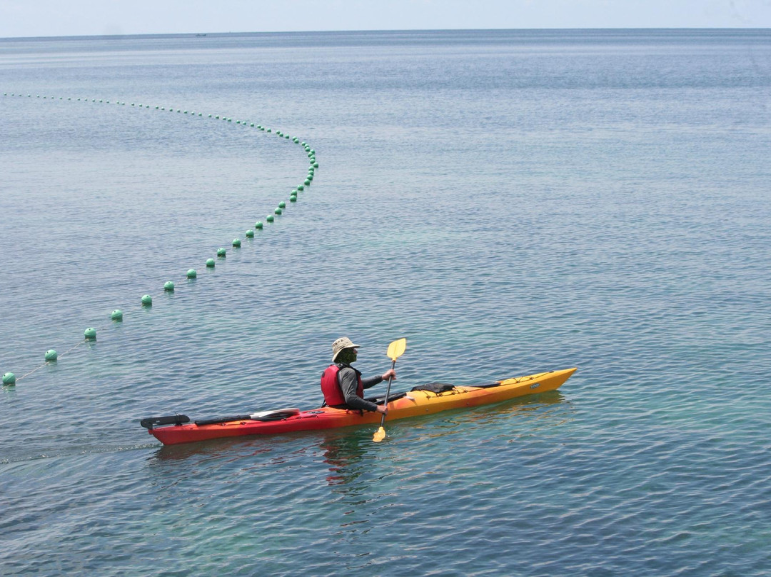 Wavehunterasia-亚庇必去景点