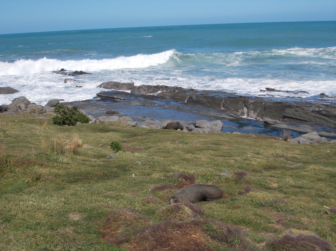 Hammonds Wellington Tours-惠灵顿必去景点