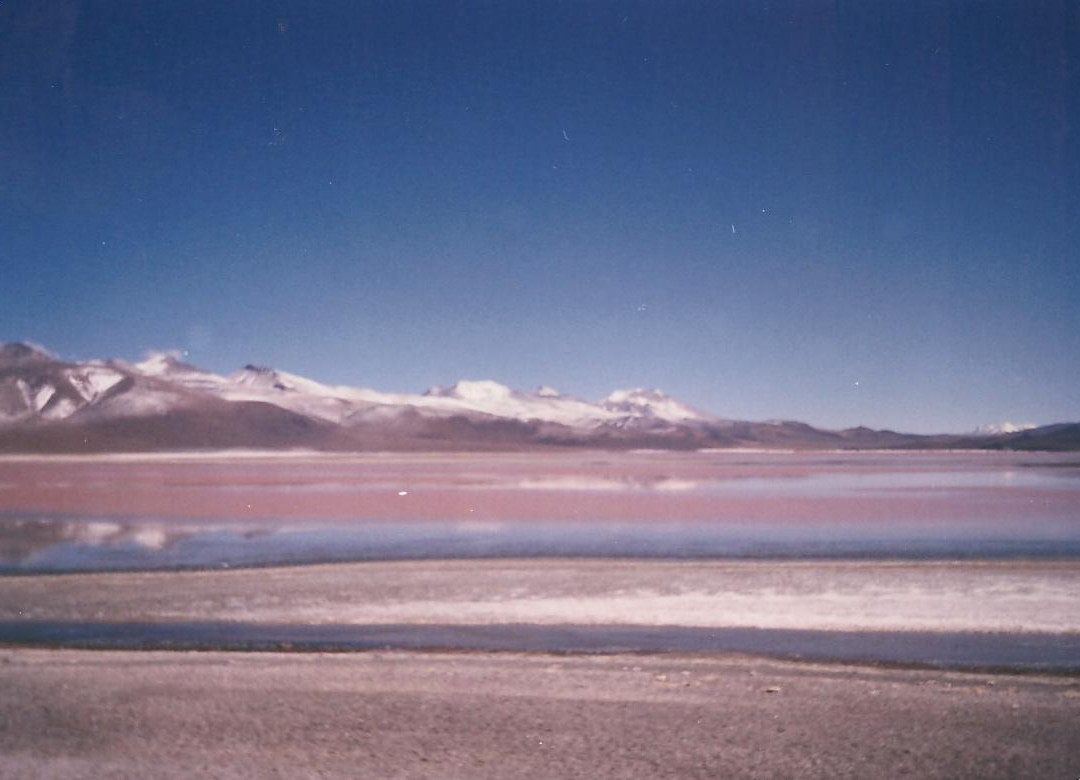 Laguna Colorada-乌尤尼必去景点