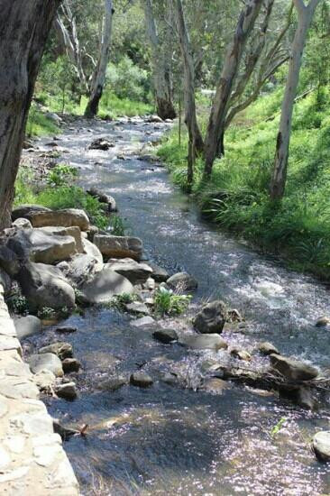Morialta Conservation Park景点图片