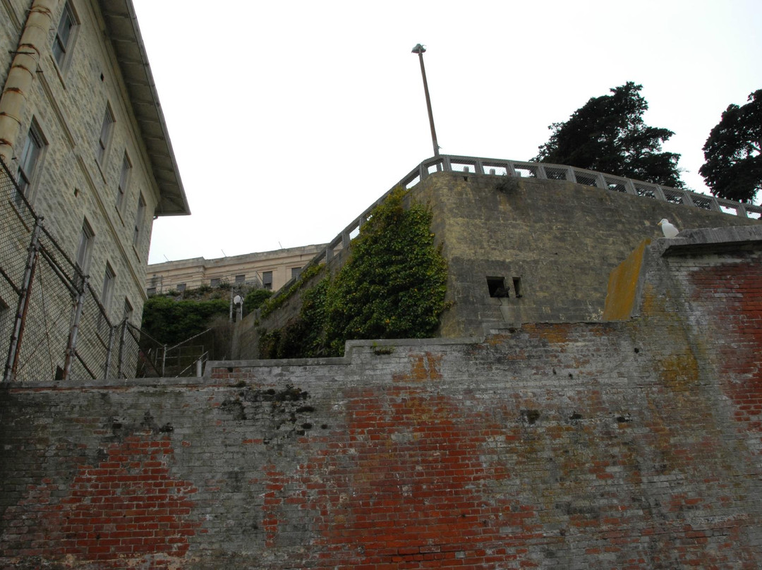 Alcatraz City Cruises-旧金山必去景点