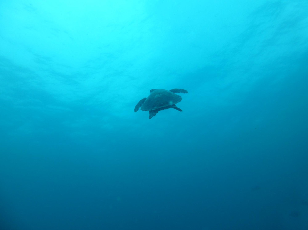 Meridis Dive & Relax-肯尼呼拉岛必去景点