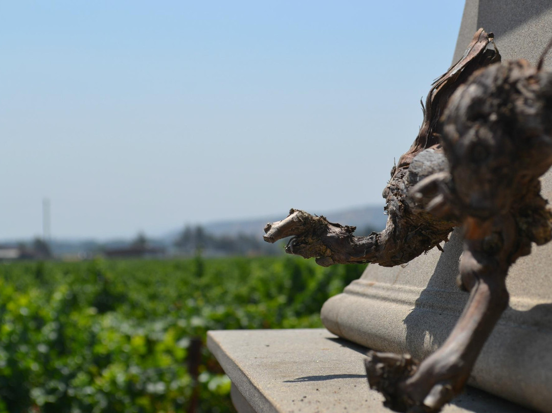 Blue Victorian Vineyards-费尔菲尔德必去景点