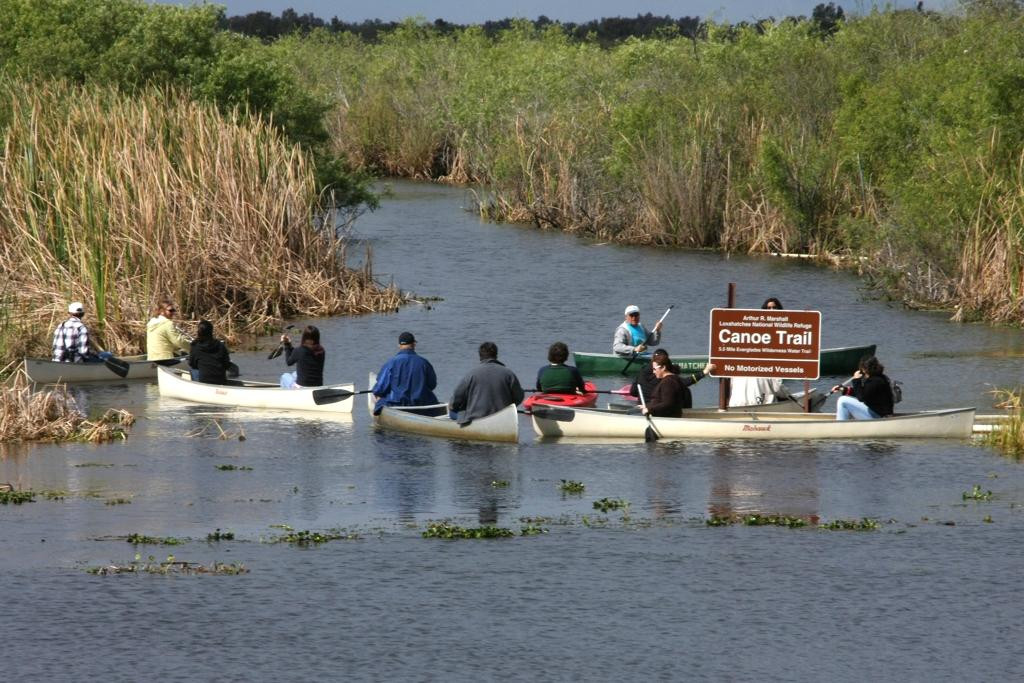 Arthur R. Marshall Loxahatchee National Wildlife Refuge-博因顿海滩必去景点