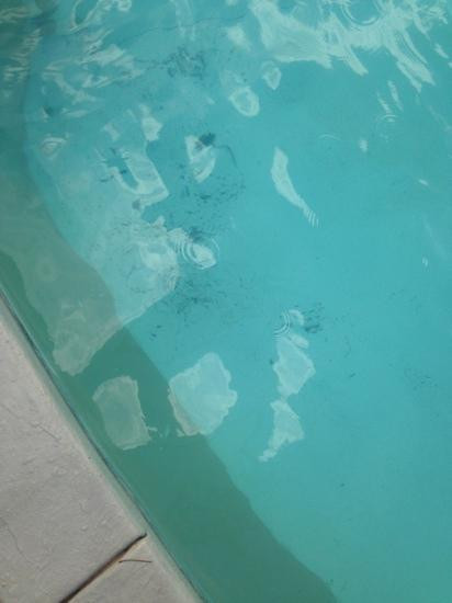 Magic Springs Theme and Water Park-温泉城必去景点