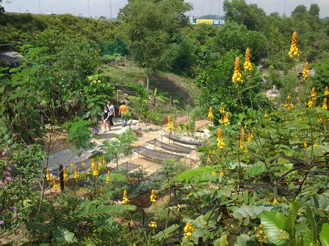 Farm In The City-雪州必去景点