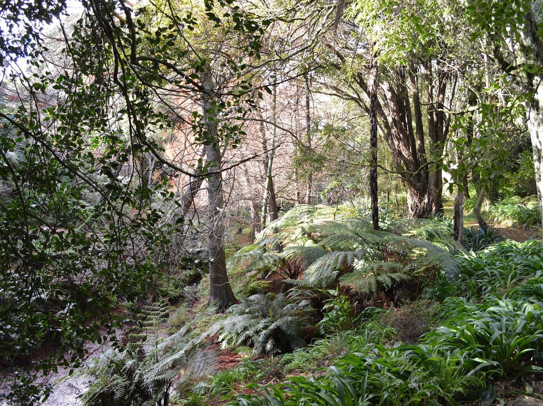 Goodson Dell-Hawera必去景点