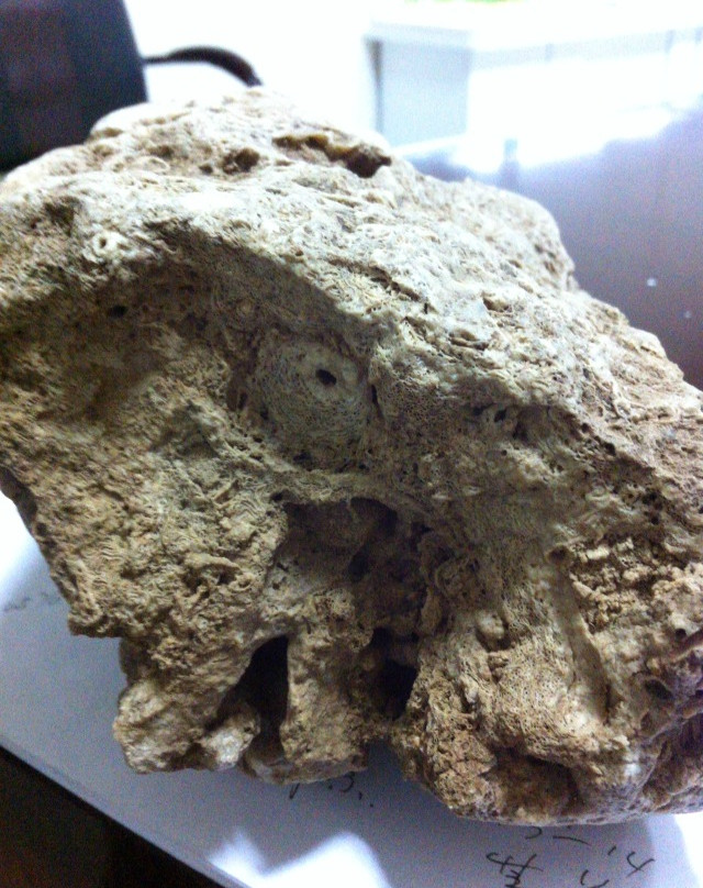 宝鸡市博物馆-宝鸡市必去景点