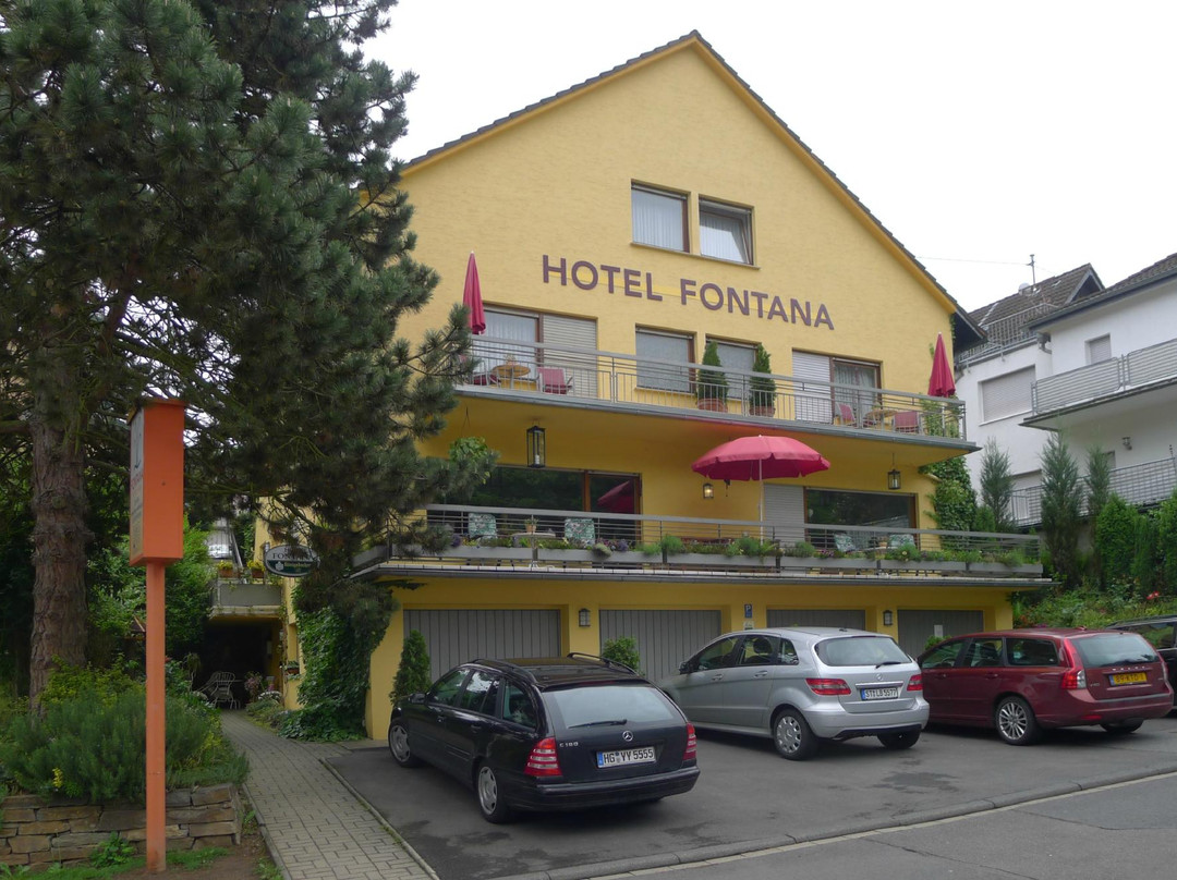 Fontana Hotel Garni主图