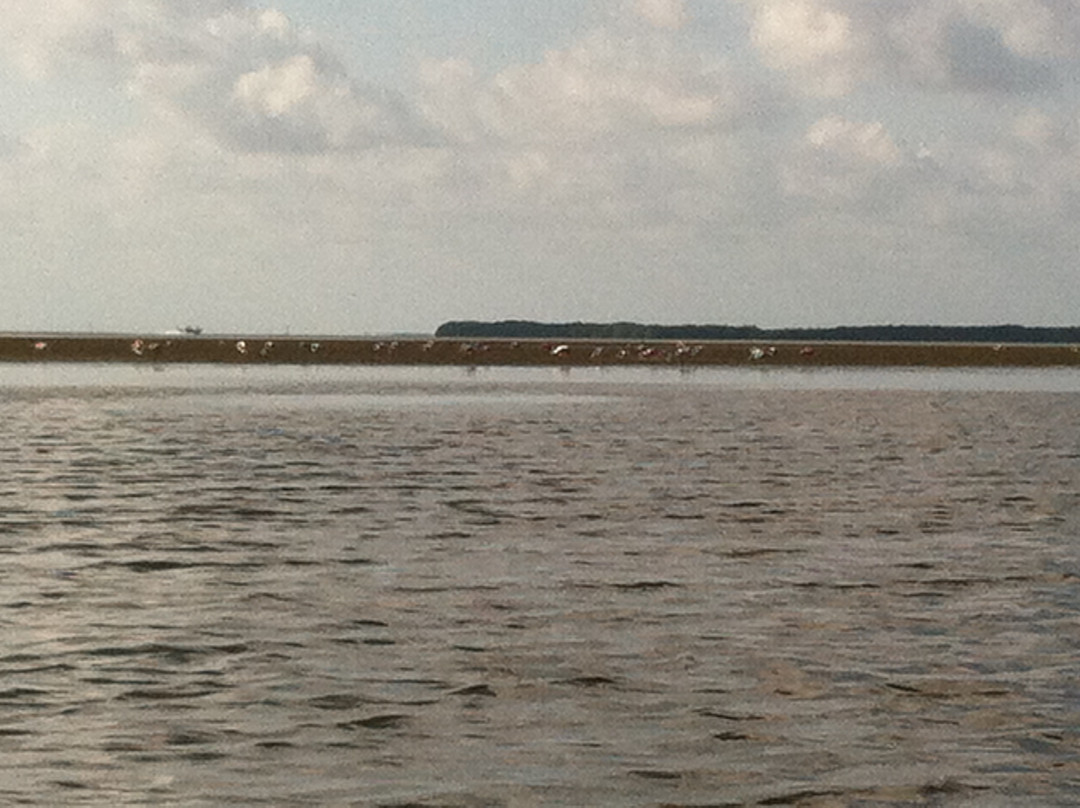 Snake Bight-大沼泽国家公园必去景点