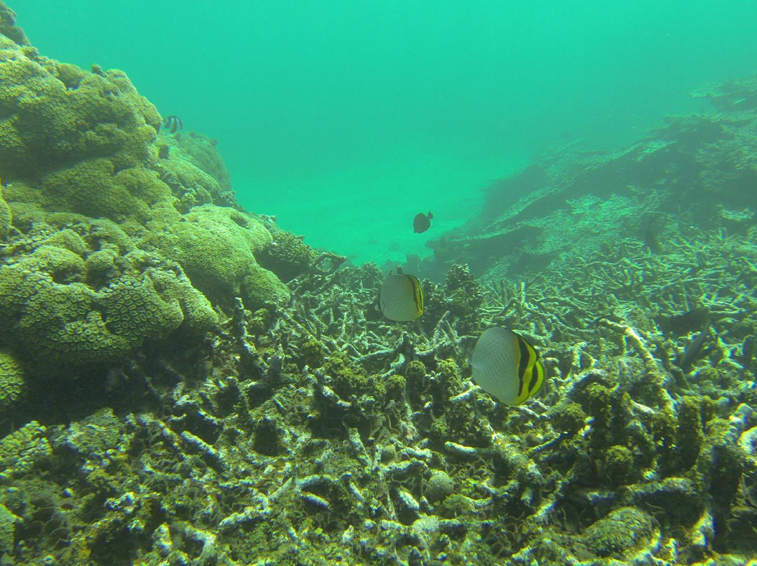 Blue Bay Marine Park-马喜埔必去景点