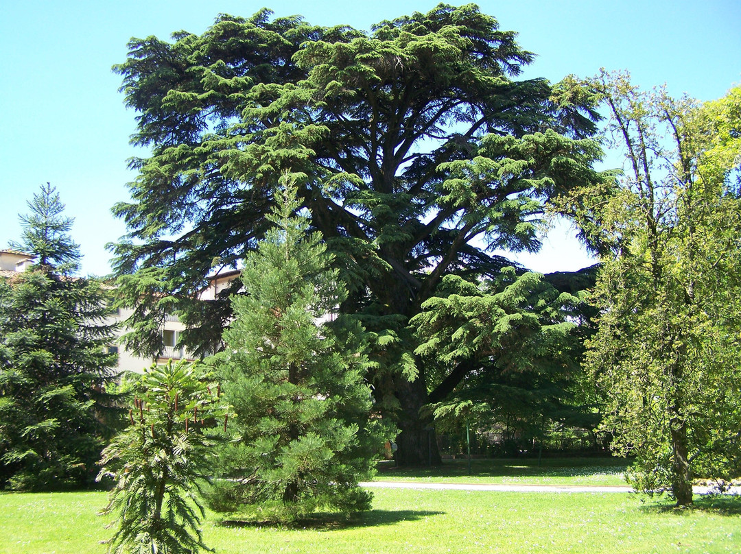 Orto Botanico di Lucca景点图片