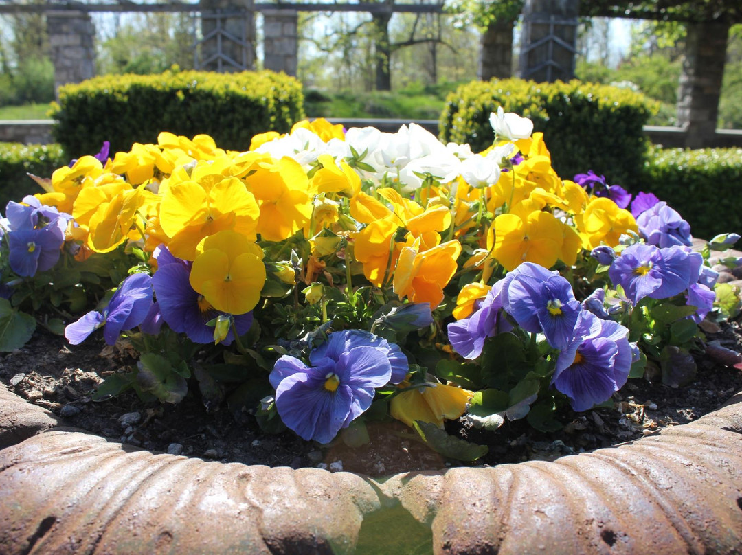 Fort Stamford Park - Goodbody Garden-斯坦福必去景点