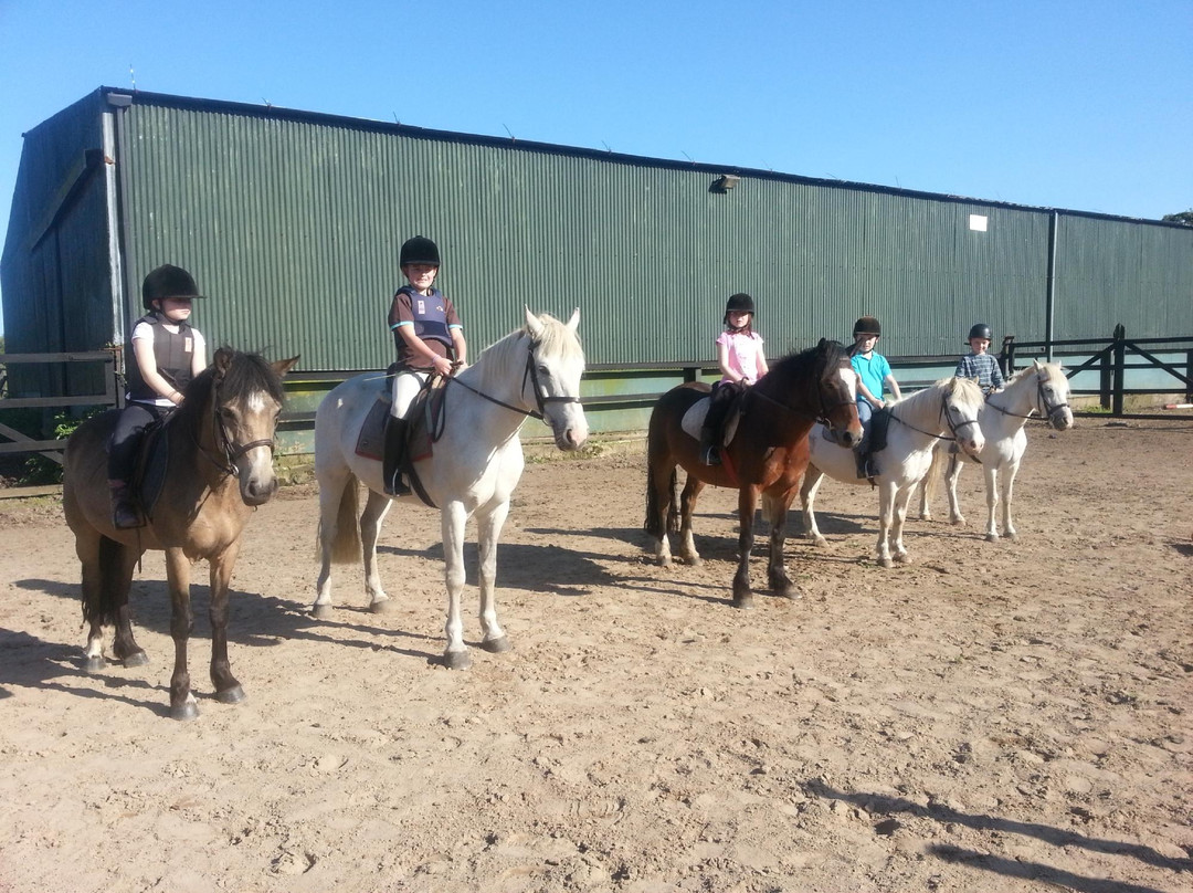Clarina Equestrian Centre-利默里克必去景点