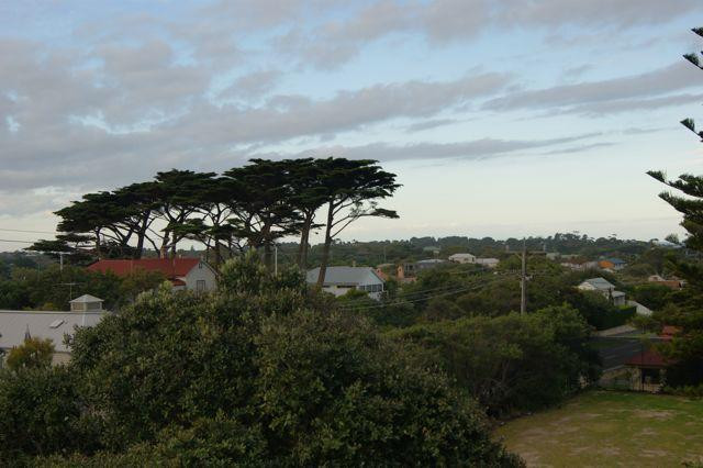 Oceanic Whitehall Guesthouse Sorrento主图