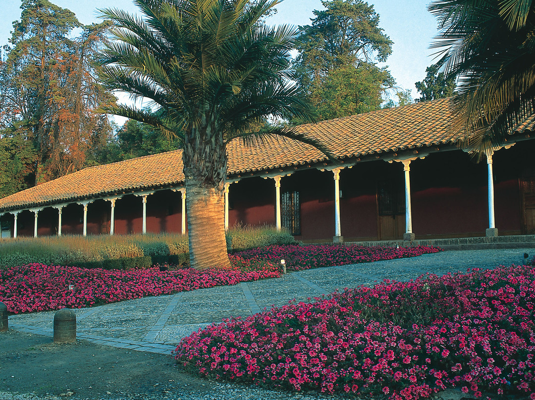 Vina Santa Rita-Buin必去景点