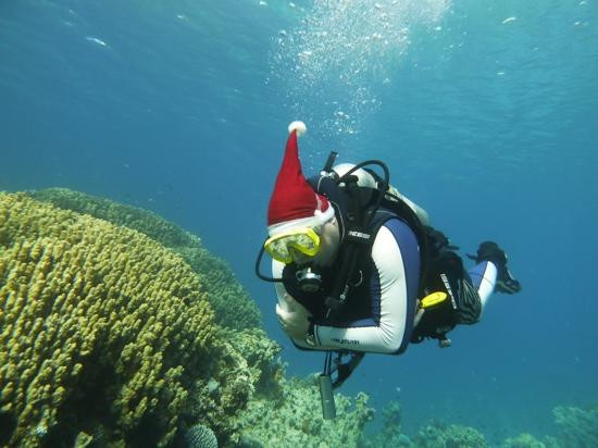 Extra Divers Aqaba-亚喀巴必去景点