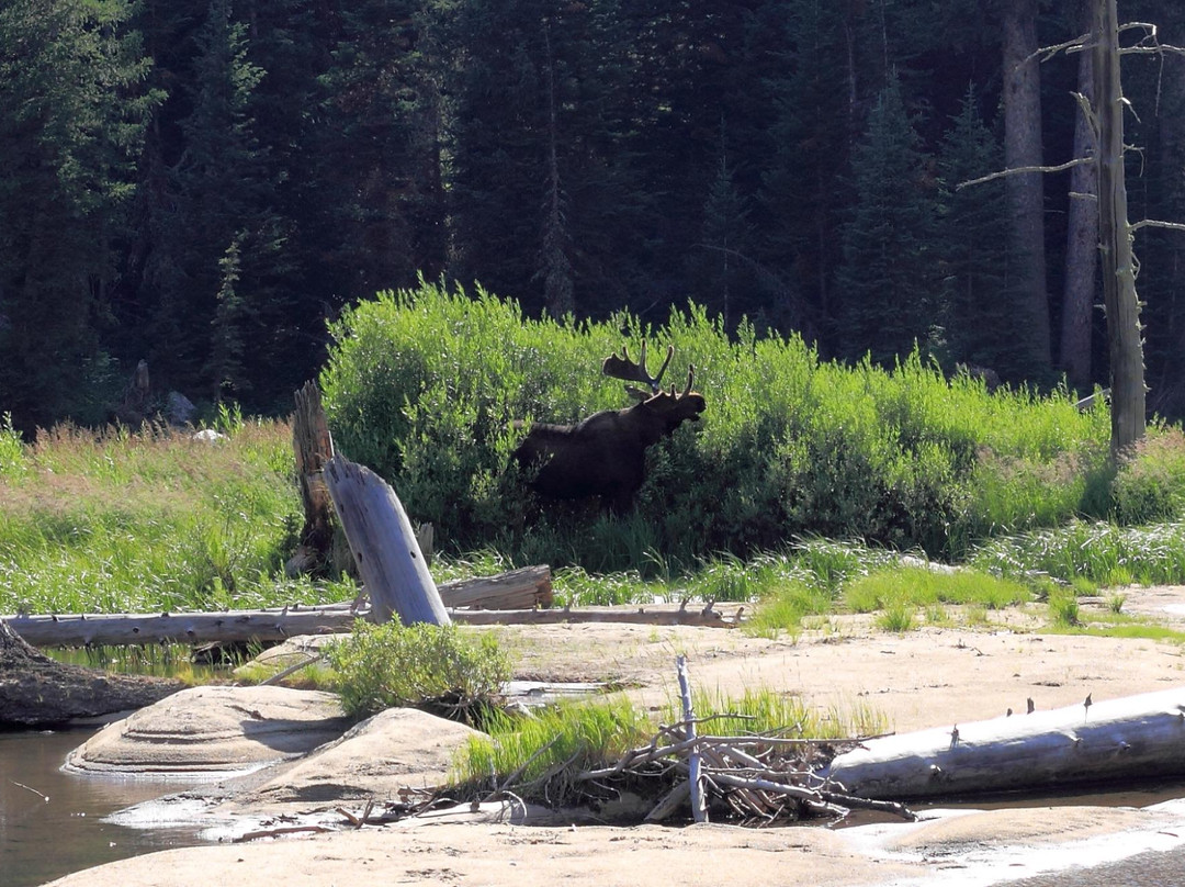 Cascade Canyon-大提顿国家公园必去景点