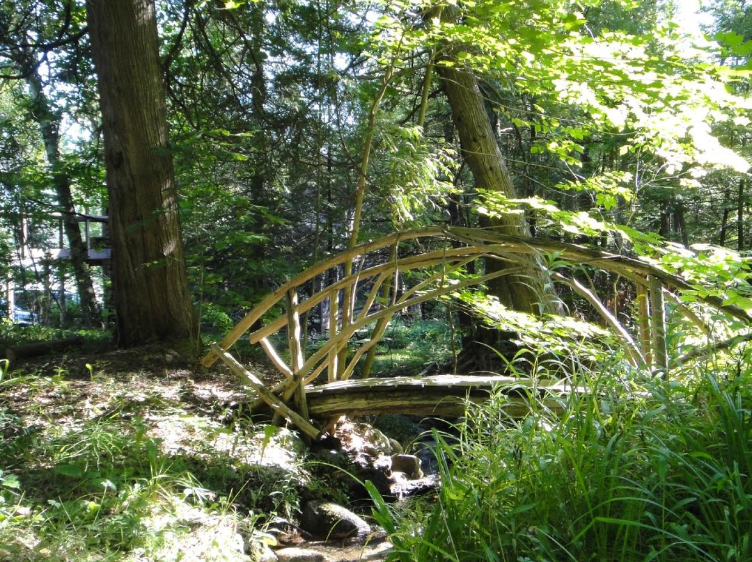 Whispering Waters主图