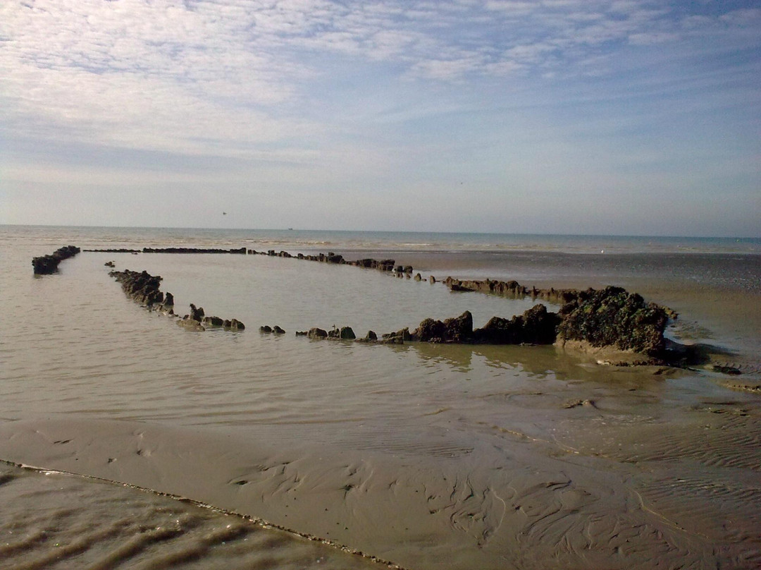 The Amsterdam Shipwreck
