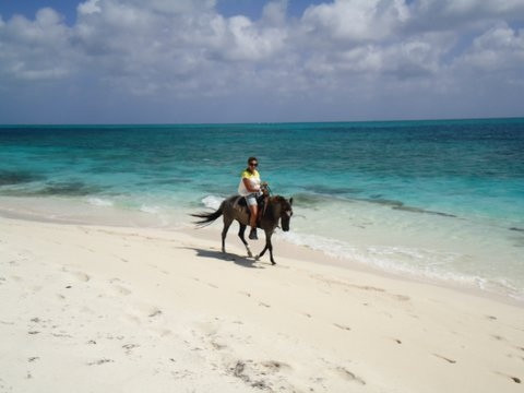 Caicos Coral-普罗维登西亚莱斯必去景点