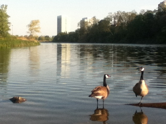 格雷蒂尔湖-多伦多必去景点