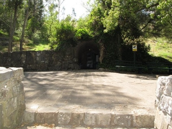 Buchan Caves Reserve景点图片