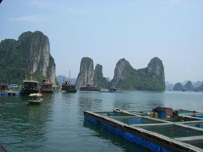 Pelican Cave (Hang Bo Nau)-海防必去景点