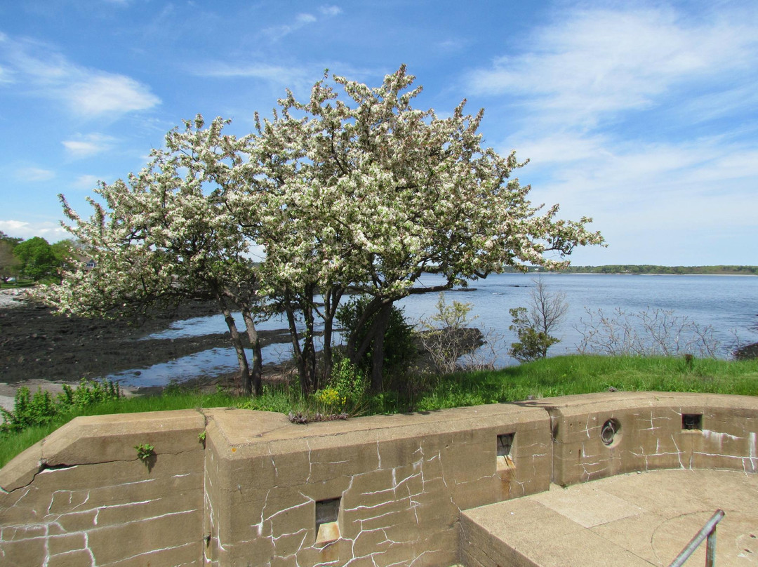 Fort Stark State Historic Site景点图片