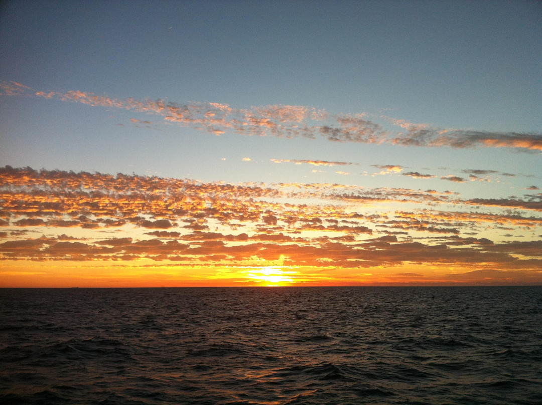 Calypso Star Charters-Port Lincoln必去景点