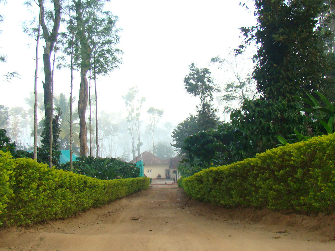 Polaycad Bungalow主图