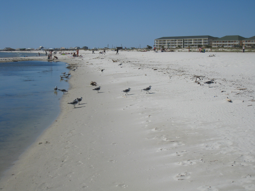 Dauphin Island Public Beach-Dauphin Island必去景点