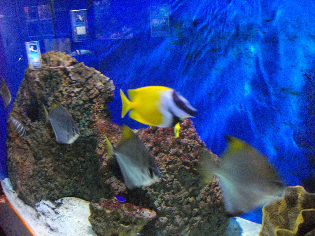St Andrews Aquarium-圣安德鲁斯必去景点