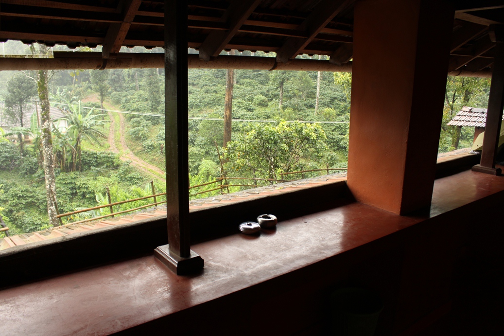 Honey Valley Homestay-酒店景观