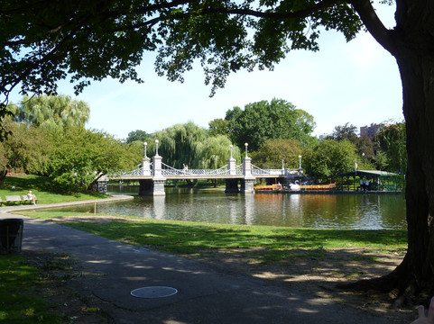 Swan Boats-波士顿必去景点