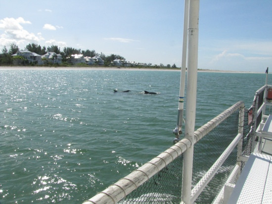 Lemon Bay Tours-恩格尔伍德必去景点