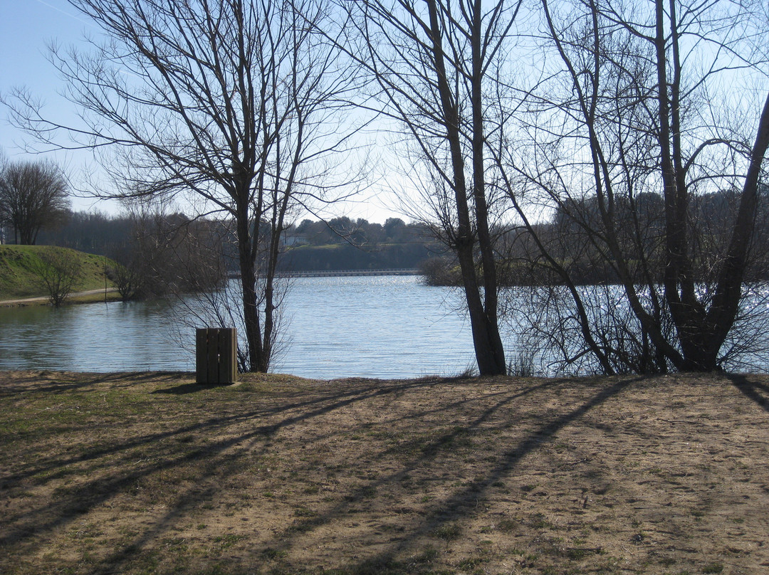 Lac de Trizay景点图片
