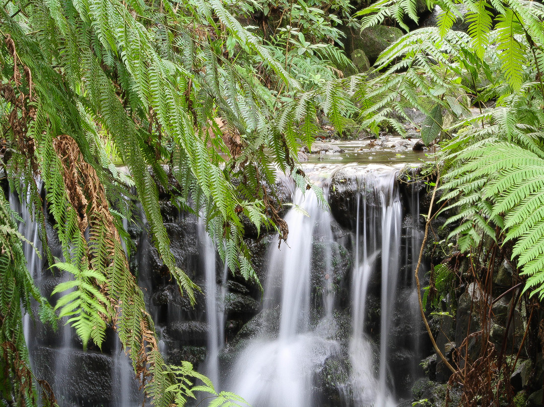Madeira Adventure Kingdom-沙尔必去景点